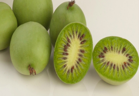eden-della-frutta-nergi