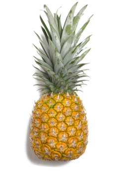 Ananas, selezione di frutta esotica