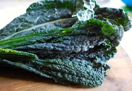 Il cavolo nero per la preparazione della Ribollita
