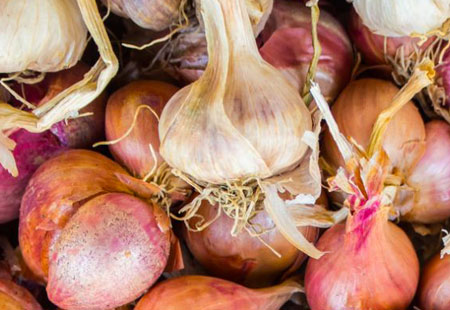 eden-della-frutta-cipolla Cipolla Ramata di Montoro, varietà autoctona