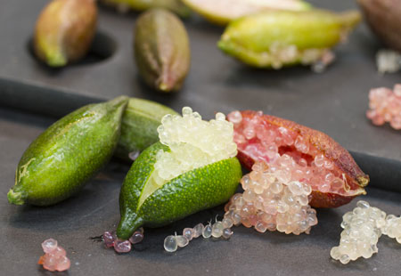 eden-della-frutta-finger-lime prodotti selezionati da Eden della Frutta: il finger lime